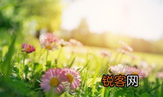春分的寓意及内涵 春分节气的含义