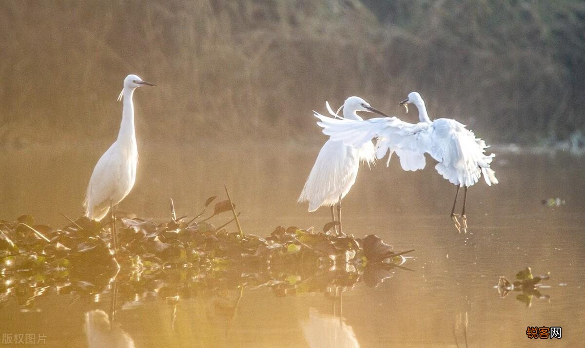 人的运气不好怎么办 如何让自己的运气变得更好