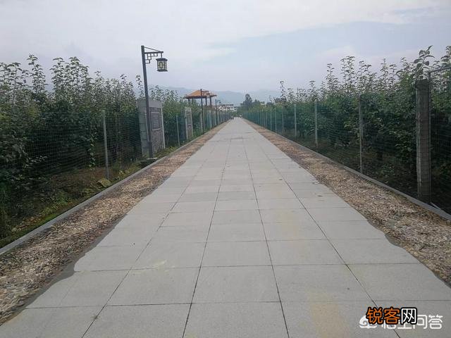 电动自行车哪个牌子好？