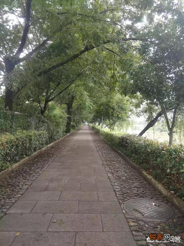 电动自行车哪个牌子好？