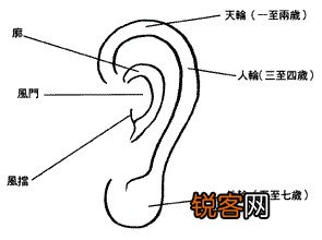 耳朵面相算命图解大全-从耳朵看一生运势吉凶