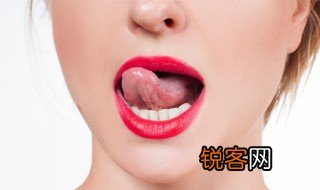 上颚在哪里 上颚简介