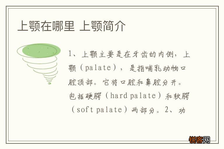 上颚在哪里 上颚简介