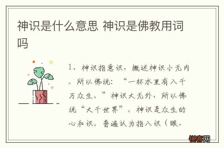 神识是什么意思 神识是佛教用词吗