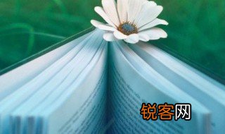 实效性是什么意思 时效性又是什么意思呢
