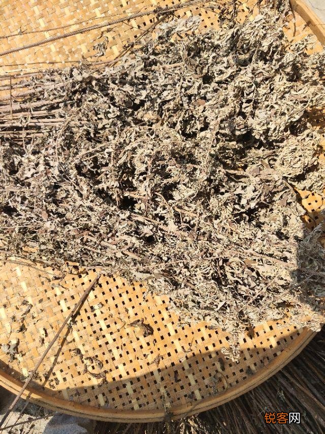 艾条怎么做成的 一支艾条有多少道工序组成