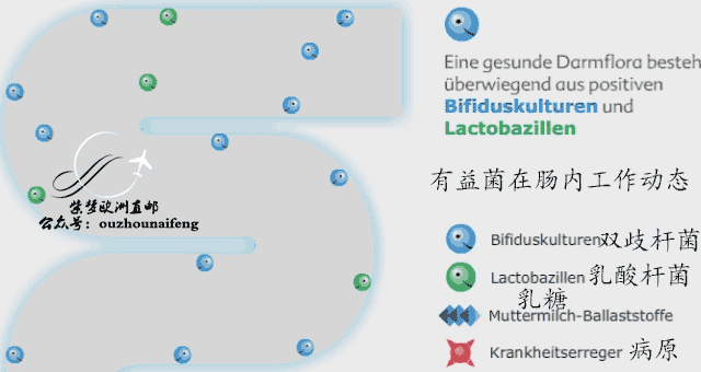 孩子肠胃不好,进口奶粉哪个牌子好？吸收有负担吗？
