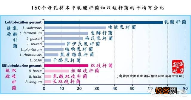 孩子肠胃不好,进口奶粉哪个牌子好？吸收有负担吗？