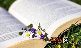 文脉什么意思 文脉解释