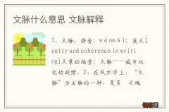 文脉什么意思 文脉解释