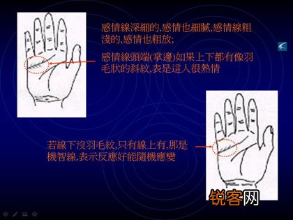 教你如何看手相？看手相算命图解大全