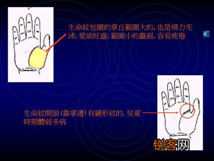 教你如何看手相？看手相算命图解大全