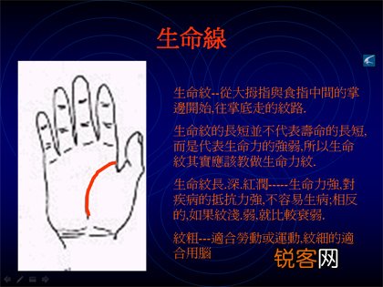 教你如何看手相？看手相算命图解大全