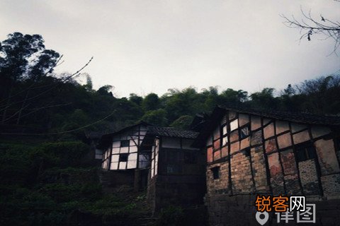 网络组织赌博罪构成要件 在网络组织赌博是什么罪
