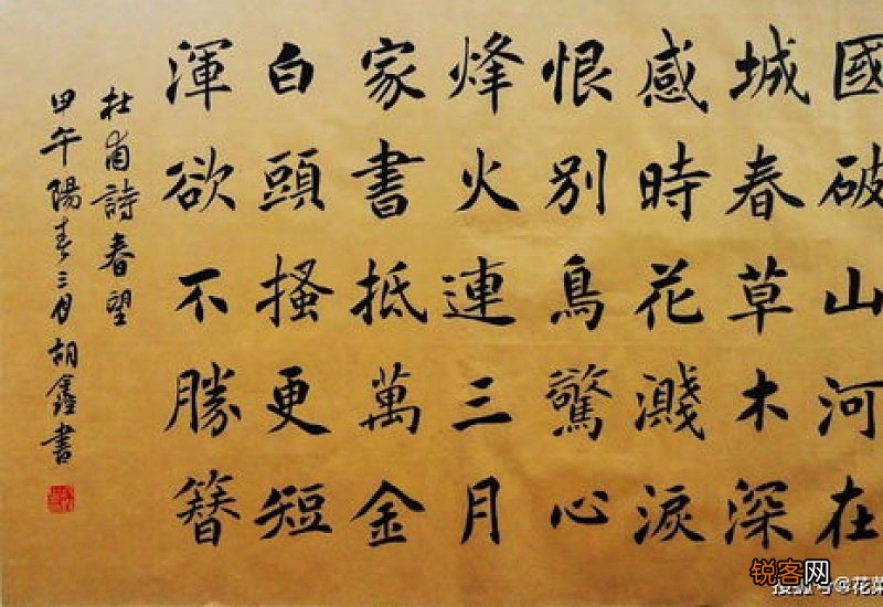 春望古诗的意思翻译