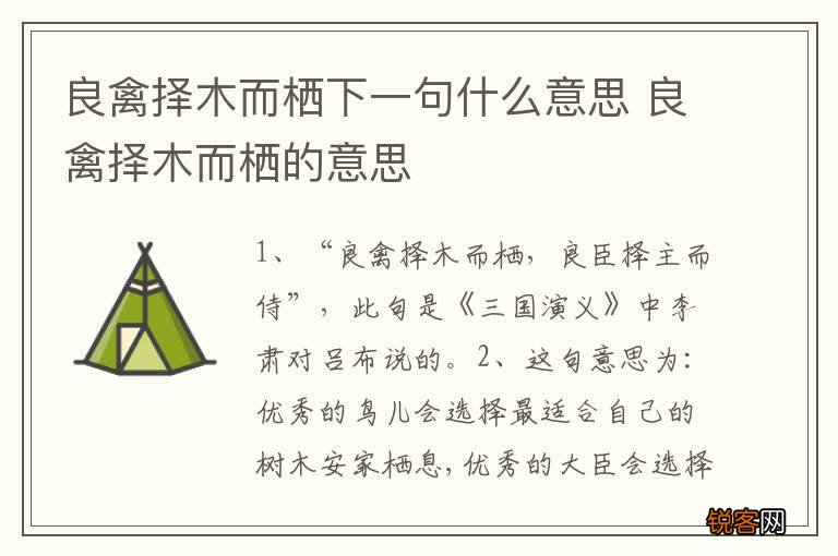 良禽择木而栖下一句什么意思 良禽择木而栖的意思