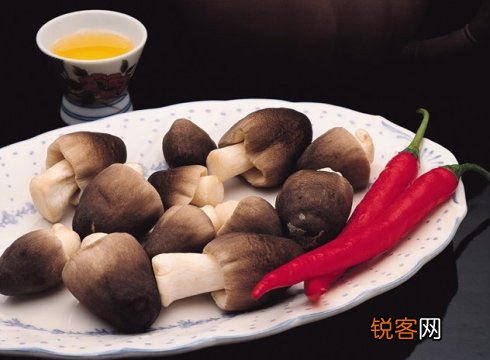 哪种蘑菇最有营养如何挑选蘑菇