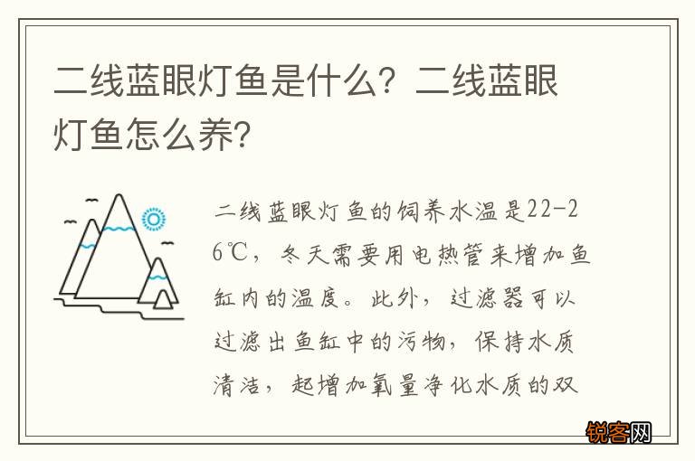 二线蓝眼灯鱼是什么？二线蓝眼灯鱼怎么养？