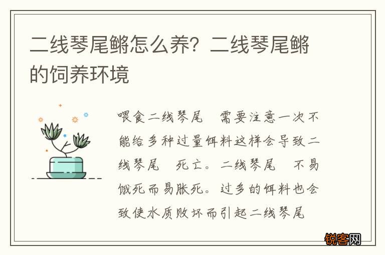 二线琴尾鳉怎么养？二线琴尾鳉的饲养环境