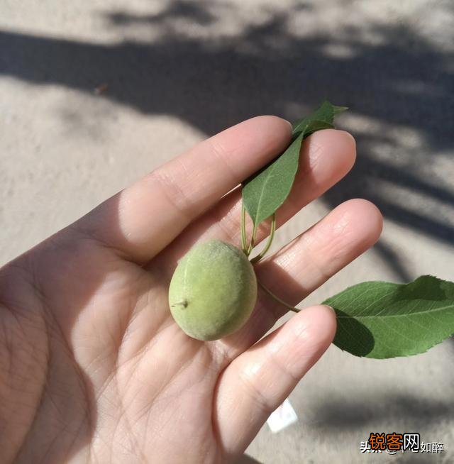 今年40岁了,不想上班,有没有在家一天挣个一二百的职业？