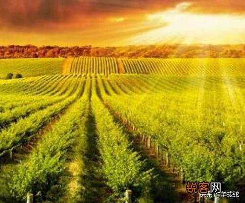 一天挣一万和失去一万的人是什么感受？