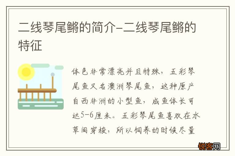 二线琴尾鳉的简介-二线琴尾鳉的特征