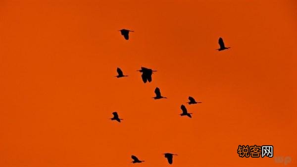 关于梦想的文案 适合收藏的励志文案