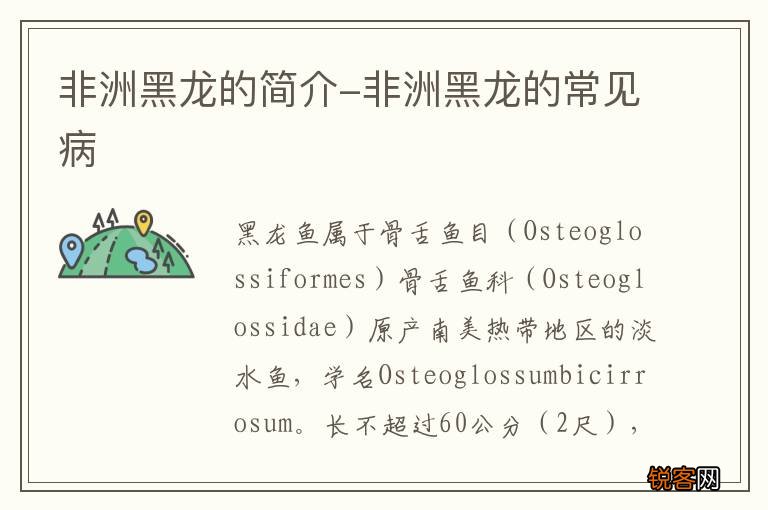 非洲黑龙的简介-非洲黑龙的常见病