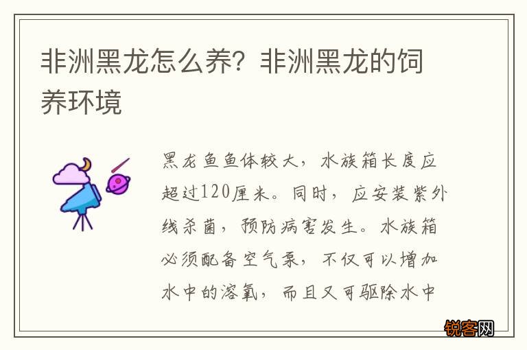 非洲黑龙怎么养？非洲黑龙的饲养环境