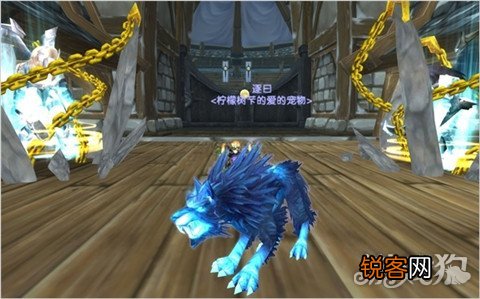 魔兽世界猎人宝宝推荐 最适合玩家的宠物