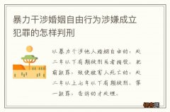 暴力干涉婚姻自由行为涉嫌成立犯罪的怎样判刑