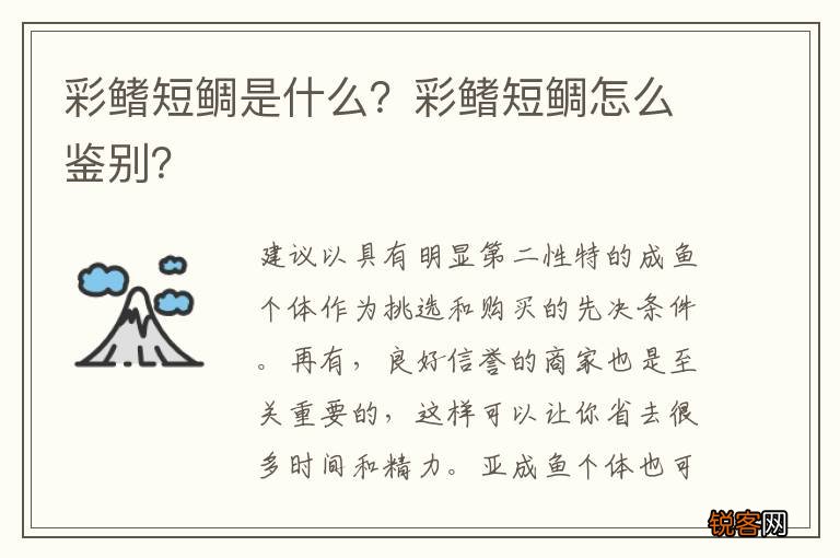 彩鳍短鲷是什么？彩鳍短鲷怎么鉴别？