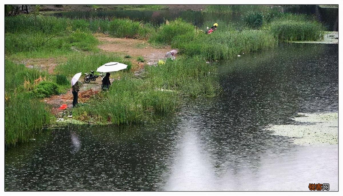 为何秋天下雨没鱼口 搞明白钓深还是钓浅