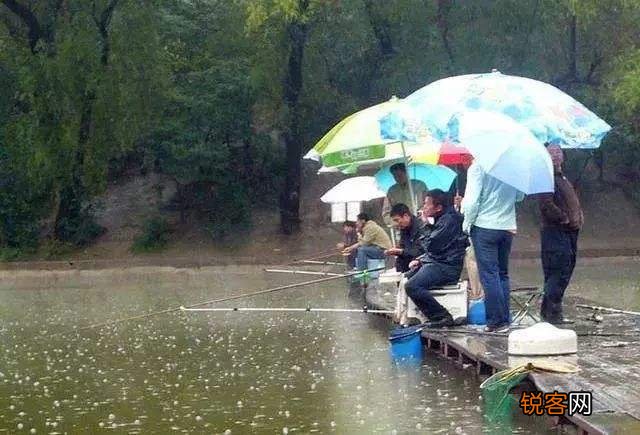 为何秋天下雨没鱼口 搞明白钓深还是钓浅