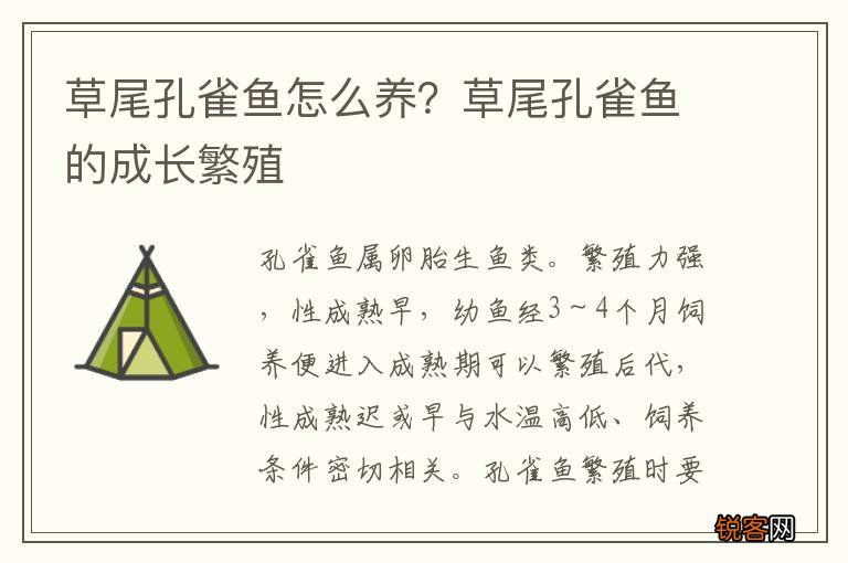 草尾孔雀鱼怎么养？草尾孔雀鱼的成长繁殖
