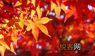 秋高气爽下一句是什么 秋高气爽出自哪里呢