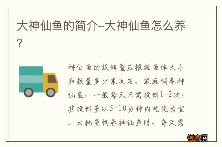 大神仙鱼的简介-大神仙鱼怎么养？
