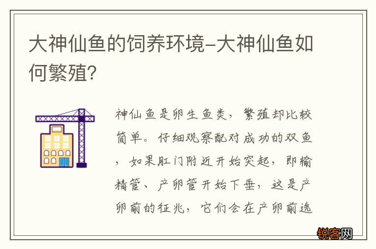 大神仙鱼的饲养环境-大神仙鱼如何繁殖？