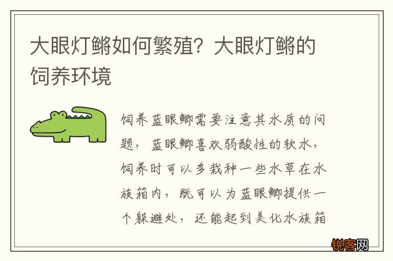 大眼灯鳉如何繁殖？大眼灯鳉的饲养环境