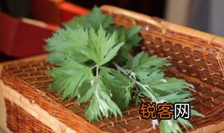端午插门上的叫什么 端午门上插什么