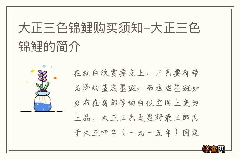 大正三色锦鲤购买须知-大正三色锦鲤的简介