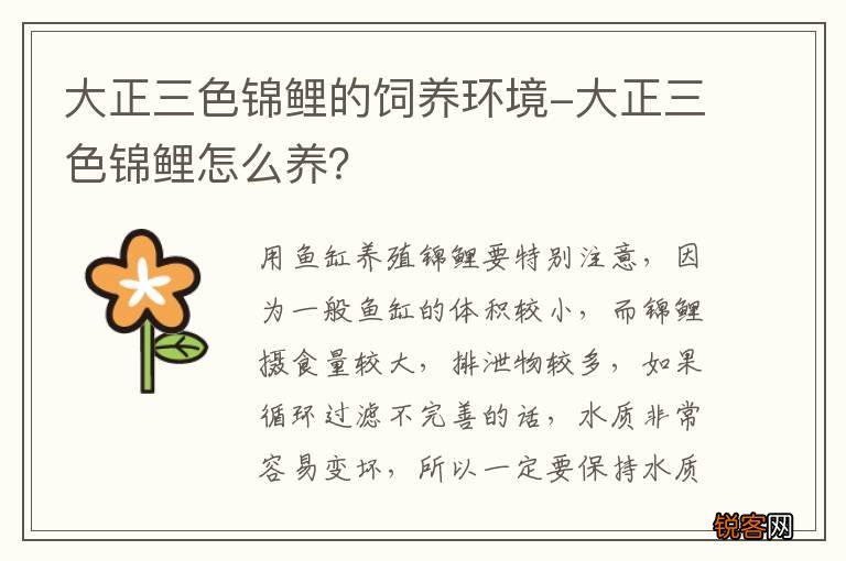 大正三色锦鲤的饲养环境-大正三色锦鲤怎么养？