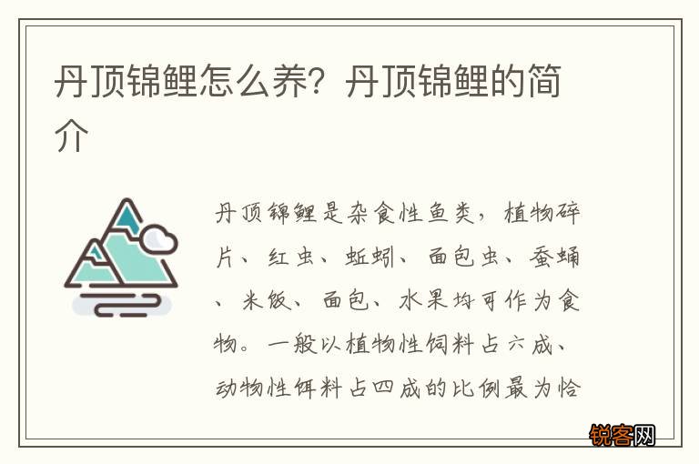 丹顶锦鲤怎么养？丹顶锦鲤的简介