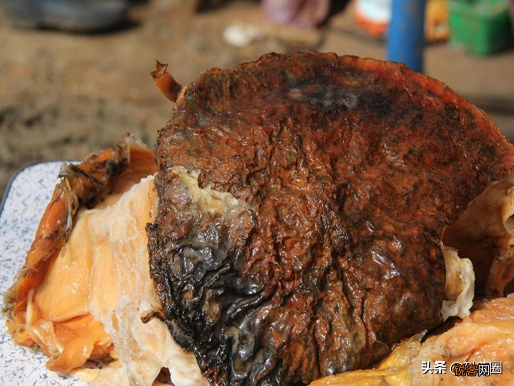 如何找野生太岁肉灵芝 太岁肉灵芝的功效和作用