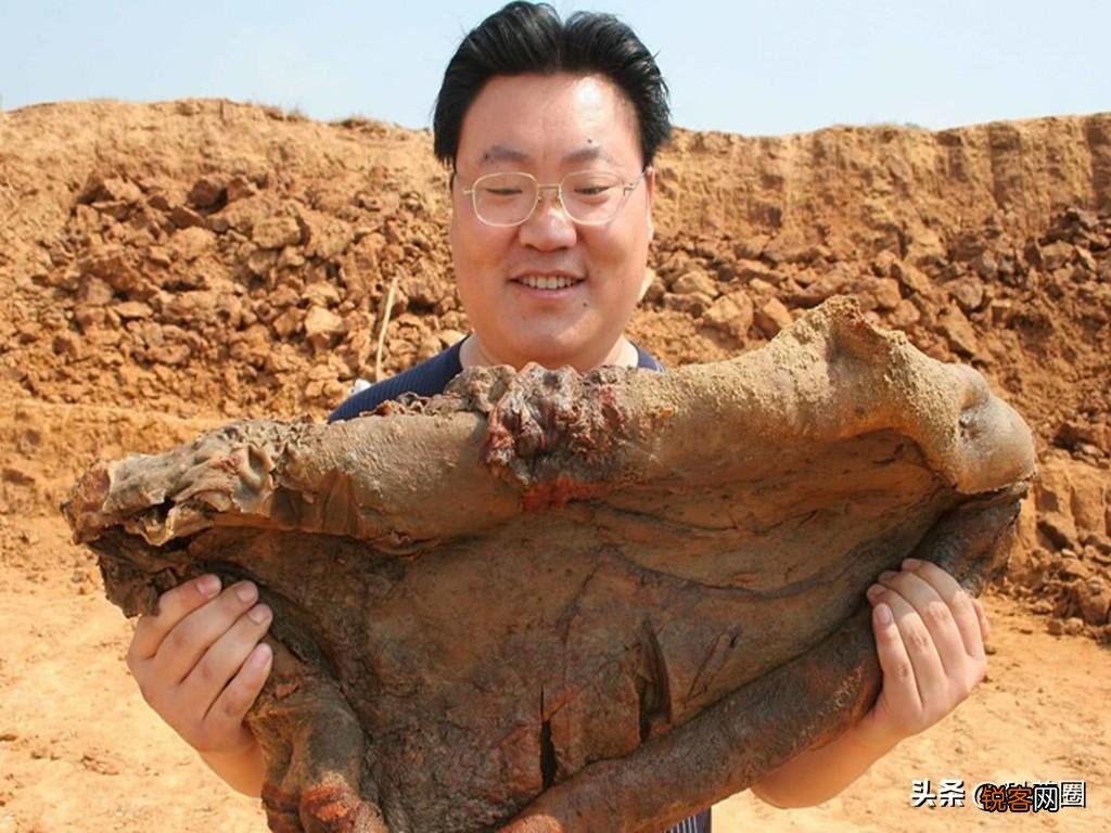 如何找野生太岁肉灵芝 太岁肉灵芝的功效和作用