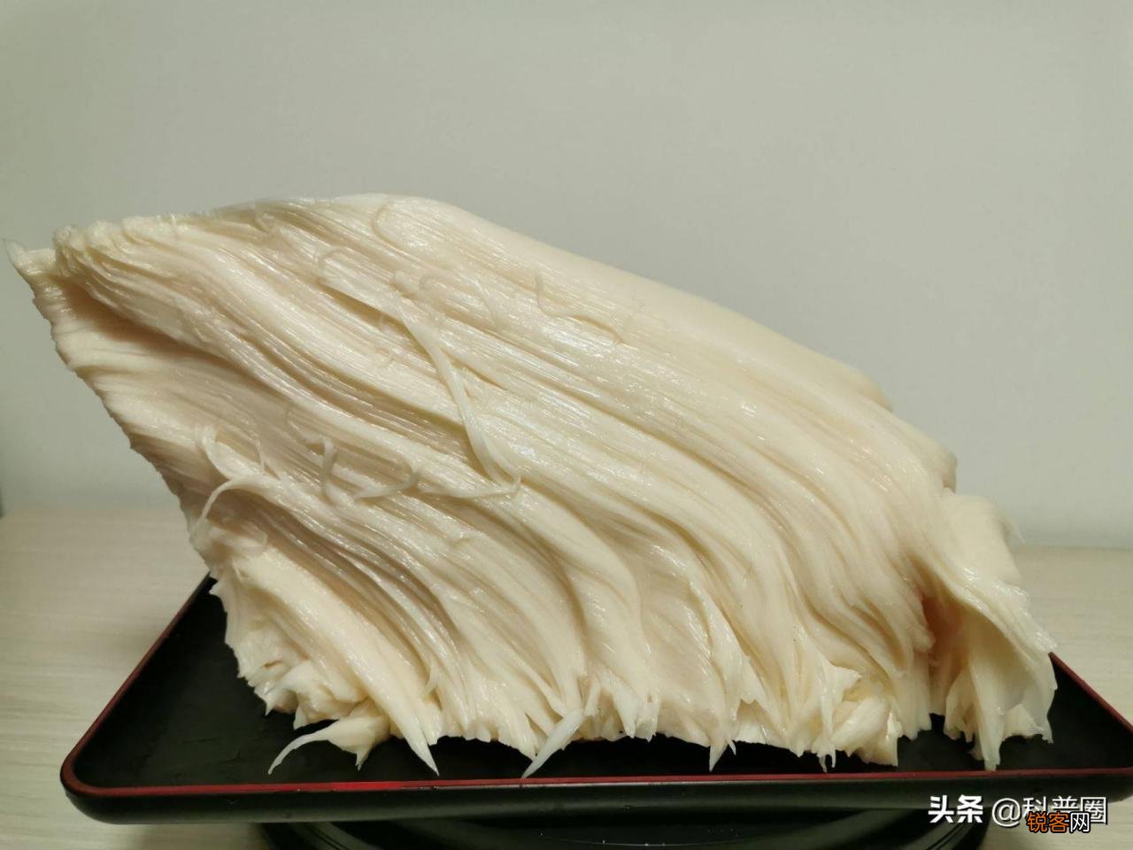 如何找野生太岁肉灵芝 太岁肉灵芝的功效和作用