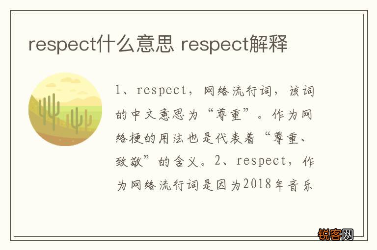 respect什么意思 respect解释