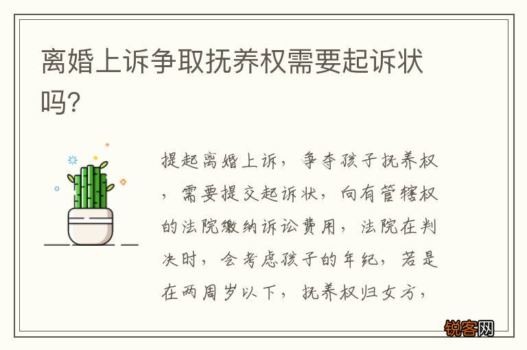 离婚上诉争取抚养权需要起诉状吗?