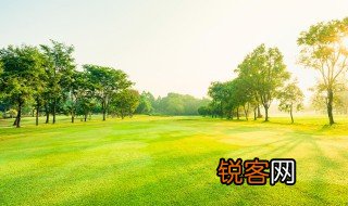关于农村田园风景的好词好句 关于农村田园风景的好词好句精选