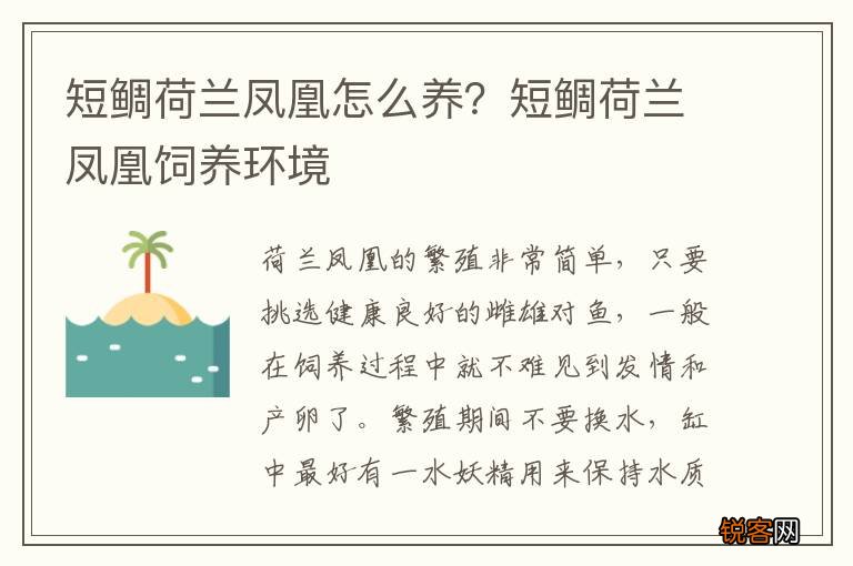 短鲷荷兰凤凰怎么养？短鲷荷兰凤凰饲养环境